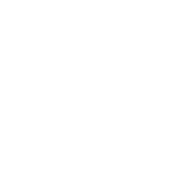 GRAPHIC