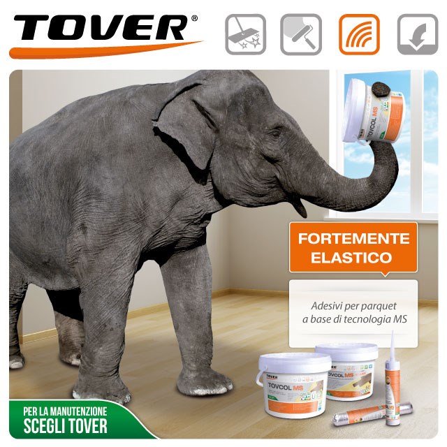 TOVER - LINEA ADESIVI